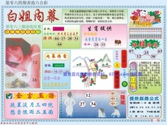 白小姐内幕A